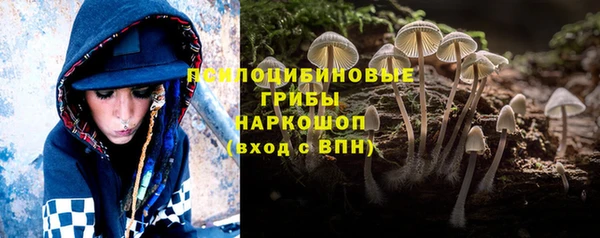 гашик Краснослободск
