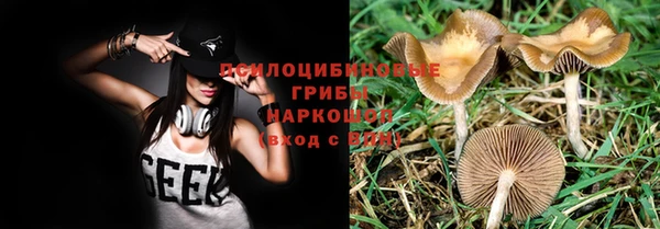 прущие крисы Краснотурьинск