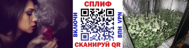 Бошки Шишки OG Kush  mega ссылка  Мышкин 